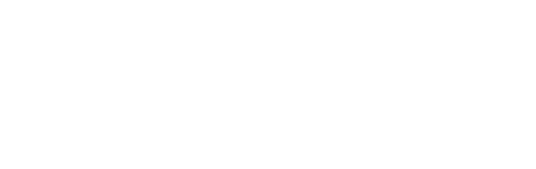 Demo Website Tara College